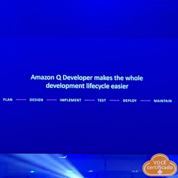 painel AmazonQDeveloper