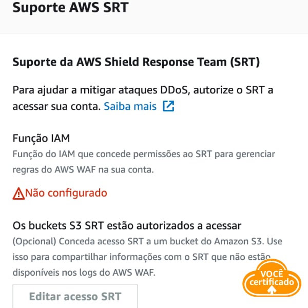 aws shield advanced suporte