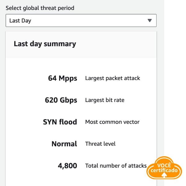 aws shield painel ameacas